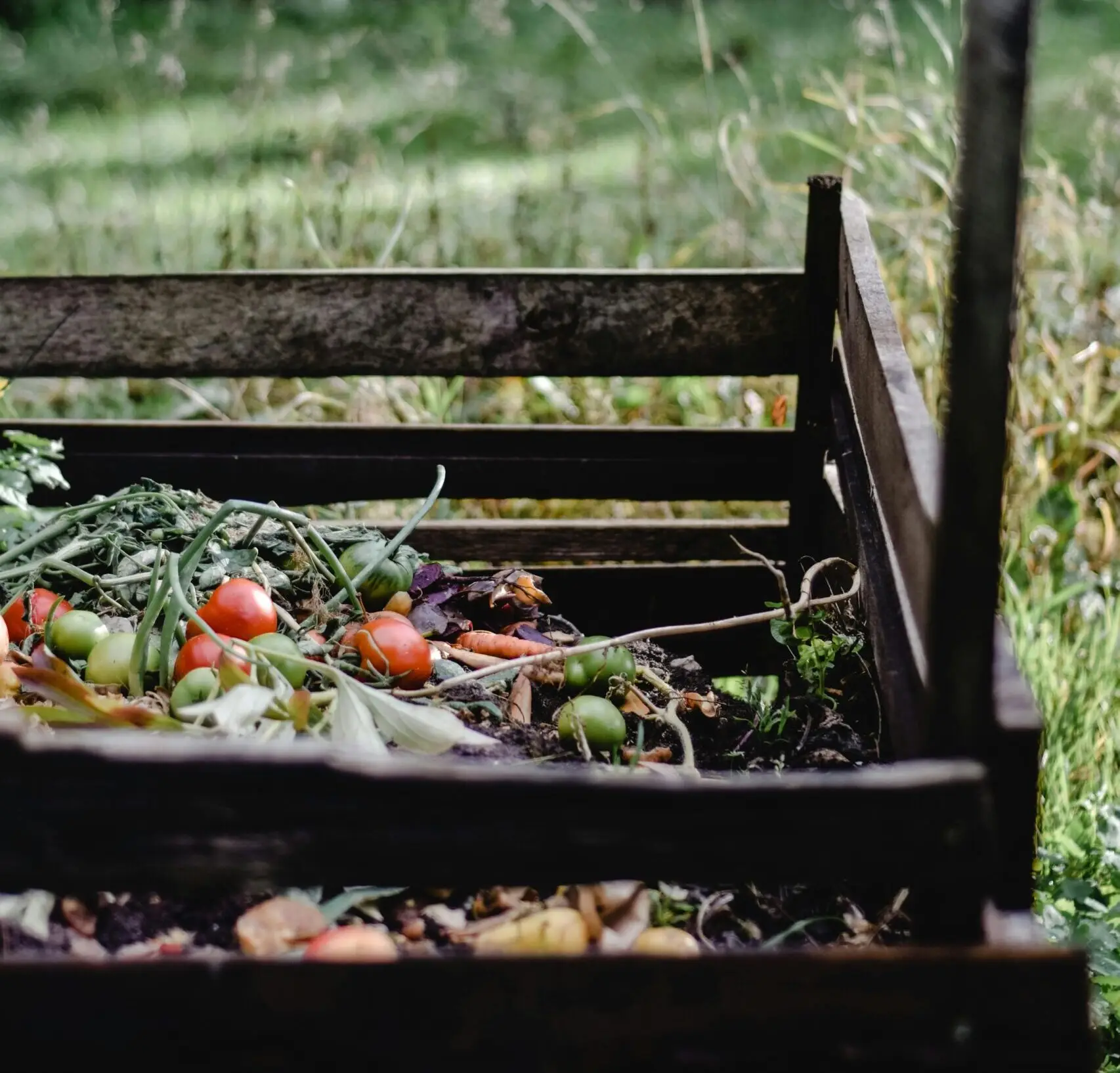 Wooden outdoor compost bin filled with vegetable scraps, tomatoes, and garden waste.